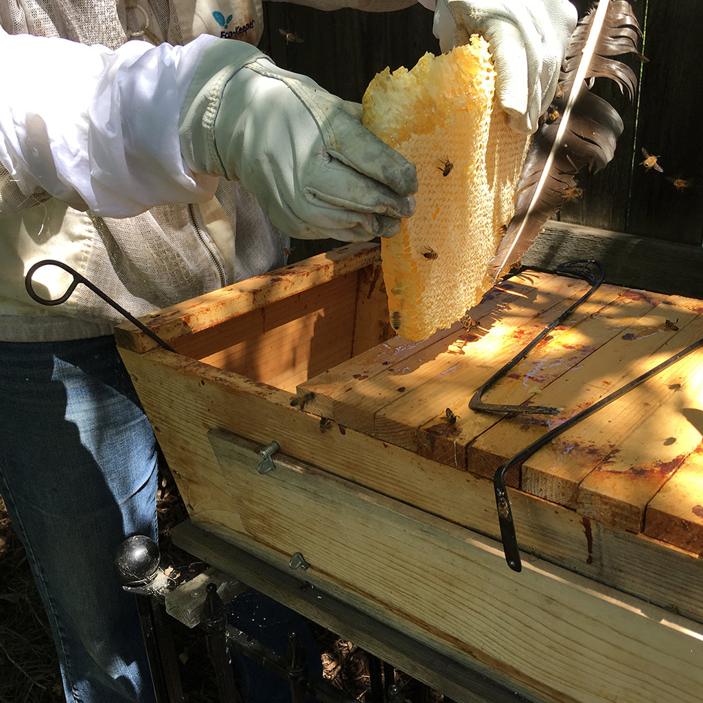 Hive Tool - 90 Degree Tool - BackYardHive Hive Tool - 90 Degree Tool - BackYardHive