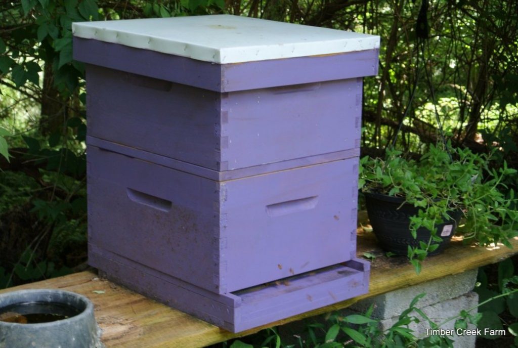 How to Start a Bee Farm - Backyard Beekeeping How to Start a Bee Farm - Backyard Beekeeping