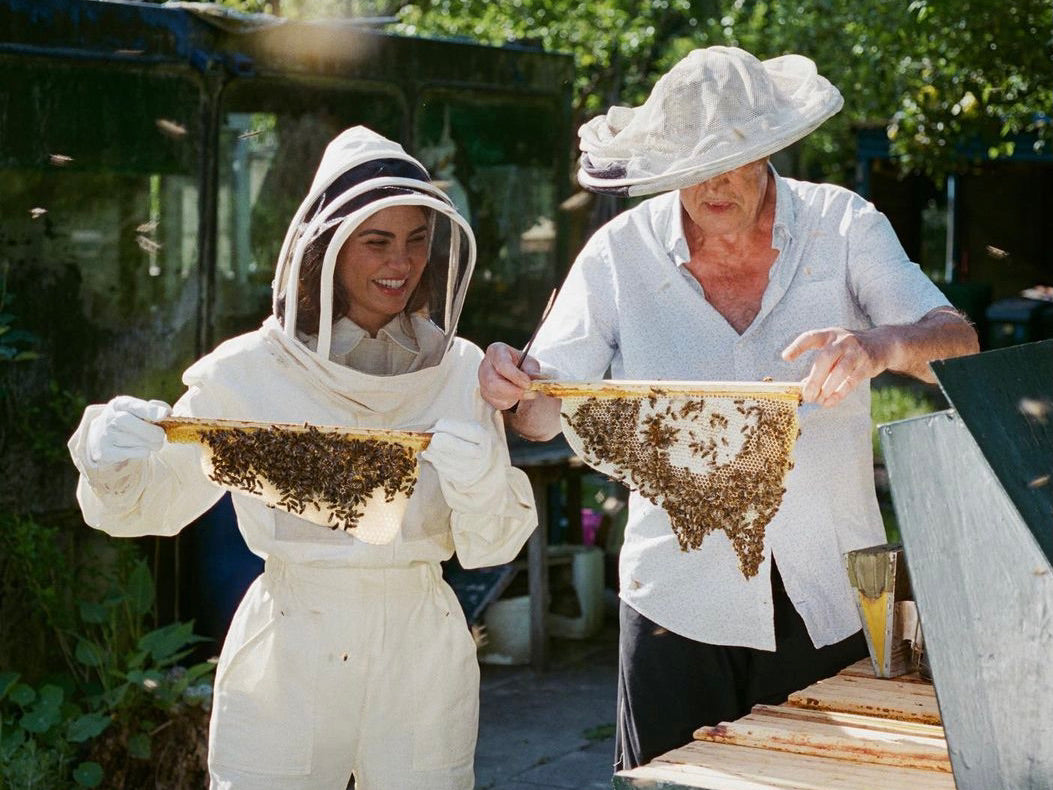 Feeding Bees-Keeping Your Hives Alive! Keeping Backyard Bees