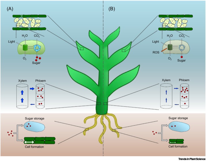 1920x1080px | free download | HD wallpaper: code, html, computer ...