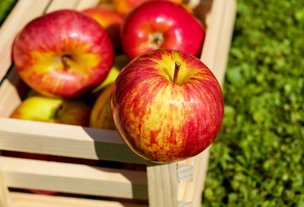 Free Images : apple, fruit, flower, ripe, food, red, harvest, produce ...