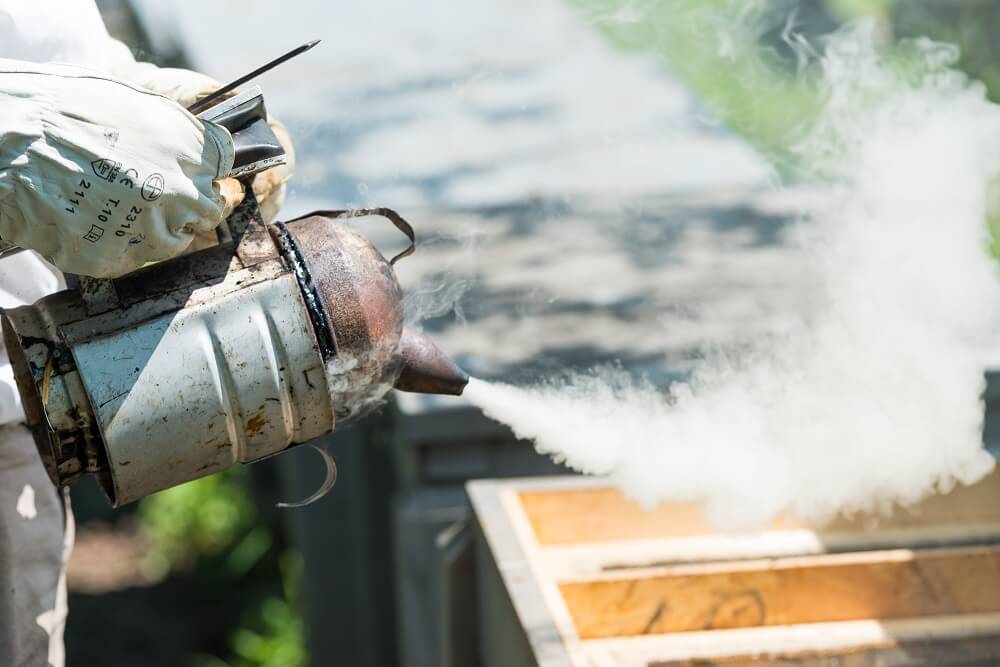 What Does a Bee Smoker do to Bees? (Here's What You Need to Know ...