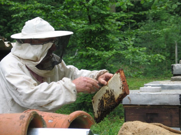 An Introduction to Backyard Beekeeping - BeeKeepClub An Introduction to Backyard Beekeeping - BeeKeepClub