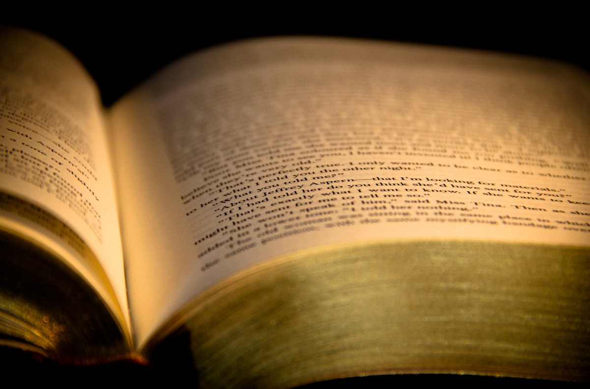 Free Images : hand, book, wing, abstract, wood, motion, color, page ...