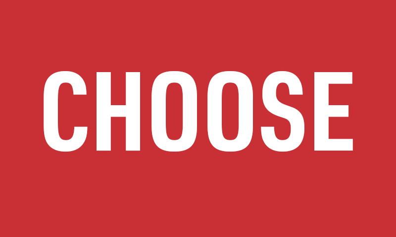 How to Choose the Perfect Beehive for Beginners