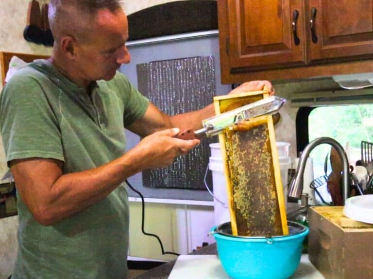 Honey 101: What Is Raw Honey? - Runamok
