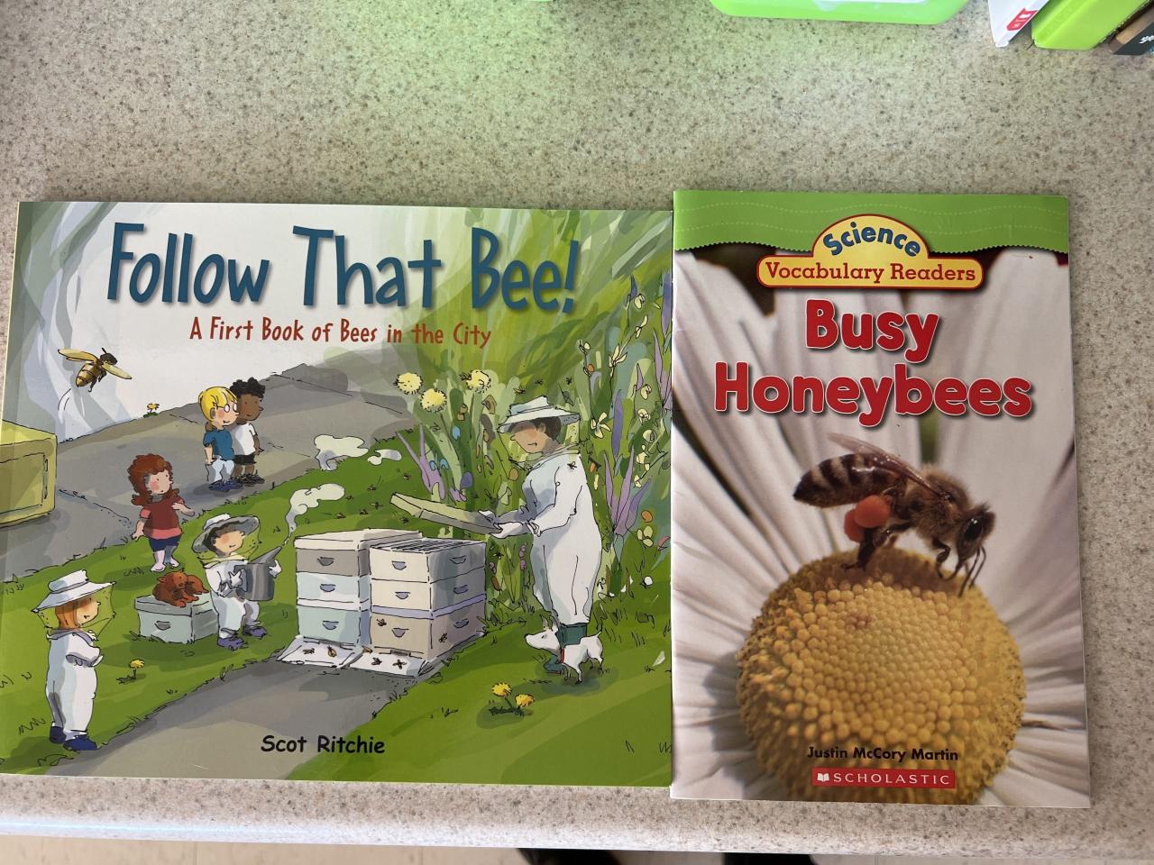 Teach Kids About Bees