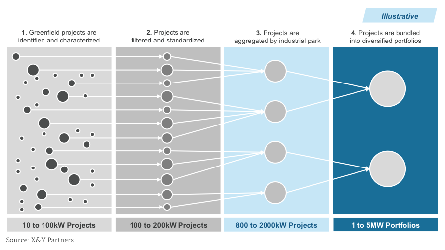 How to Understand the Different Types of Honey Bees